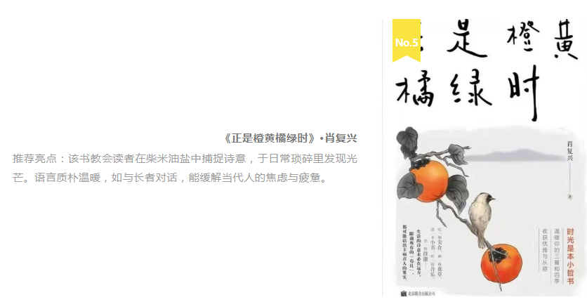 风暴娱乐 74117